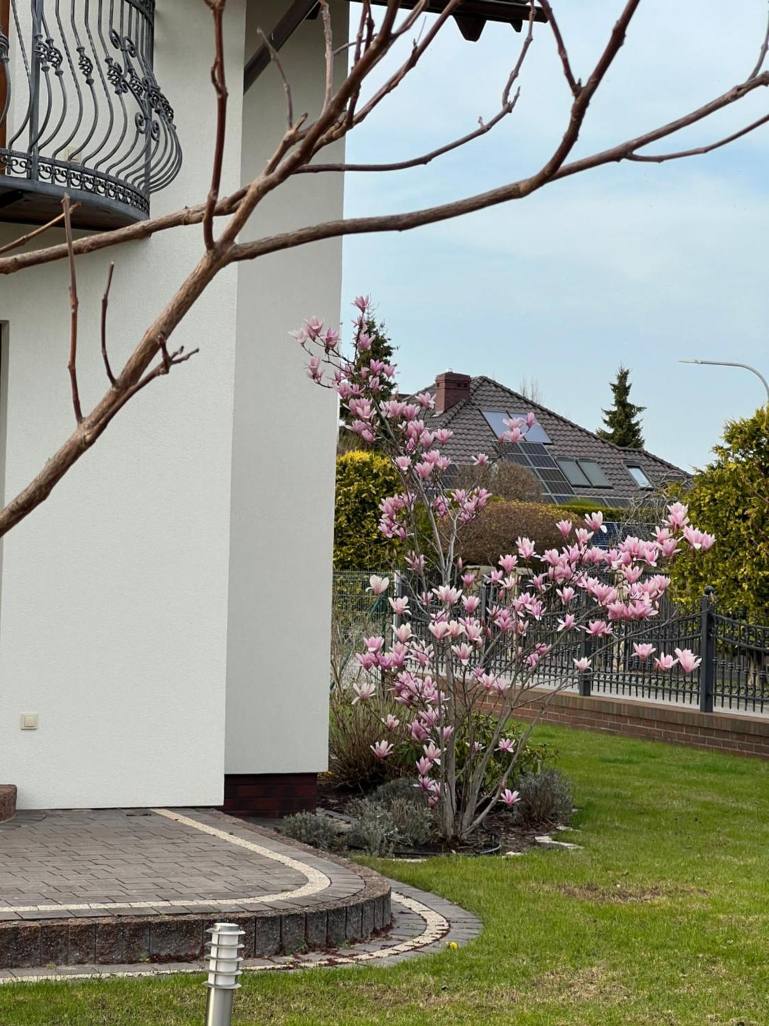 Apartamenty Bursztynowe Debki Exterior photo
